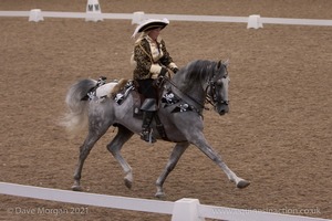 Lusitano Breed Society of Great Britain Show - Hartpury College - 27th June 2009